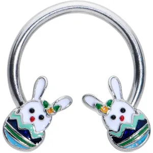 16 Gauge 3/8 Easter Egg Bunny Horseshoe Circular Barbell
