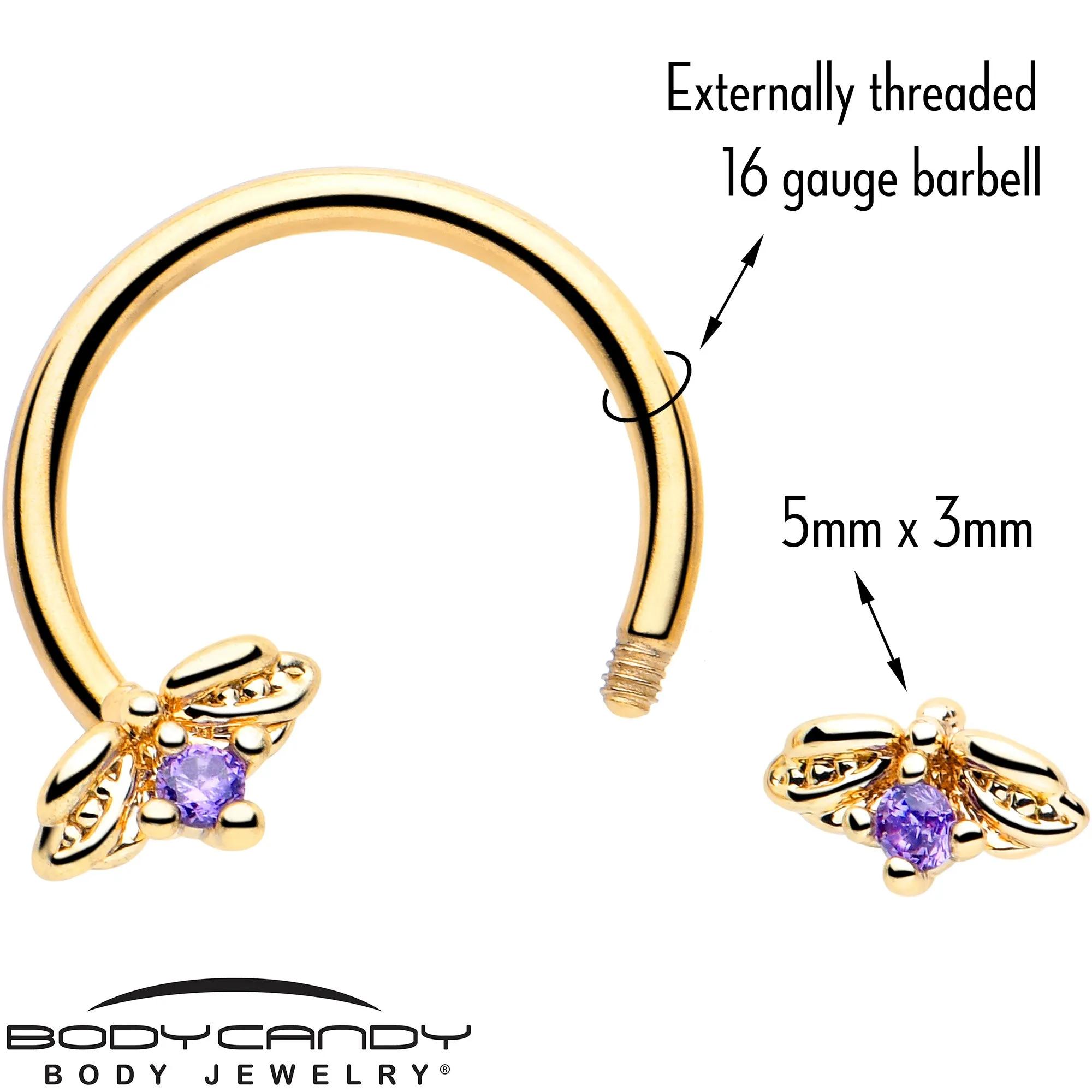 16 Gauge 3/8 Purple Gem Gold Tone Beauty Bug Horseshoe Circular Barbell