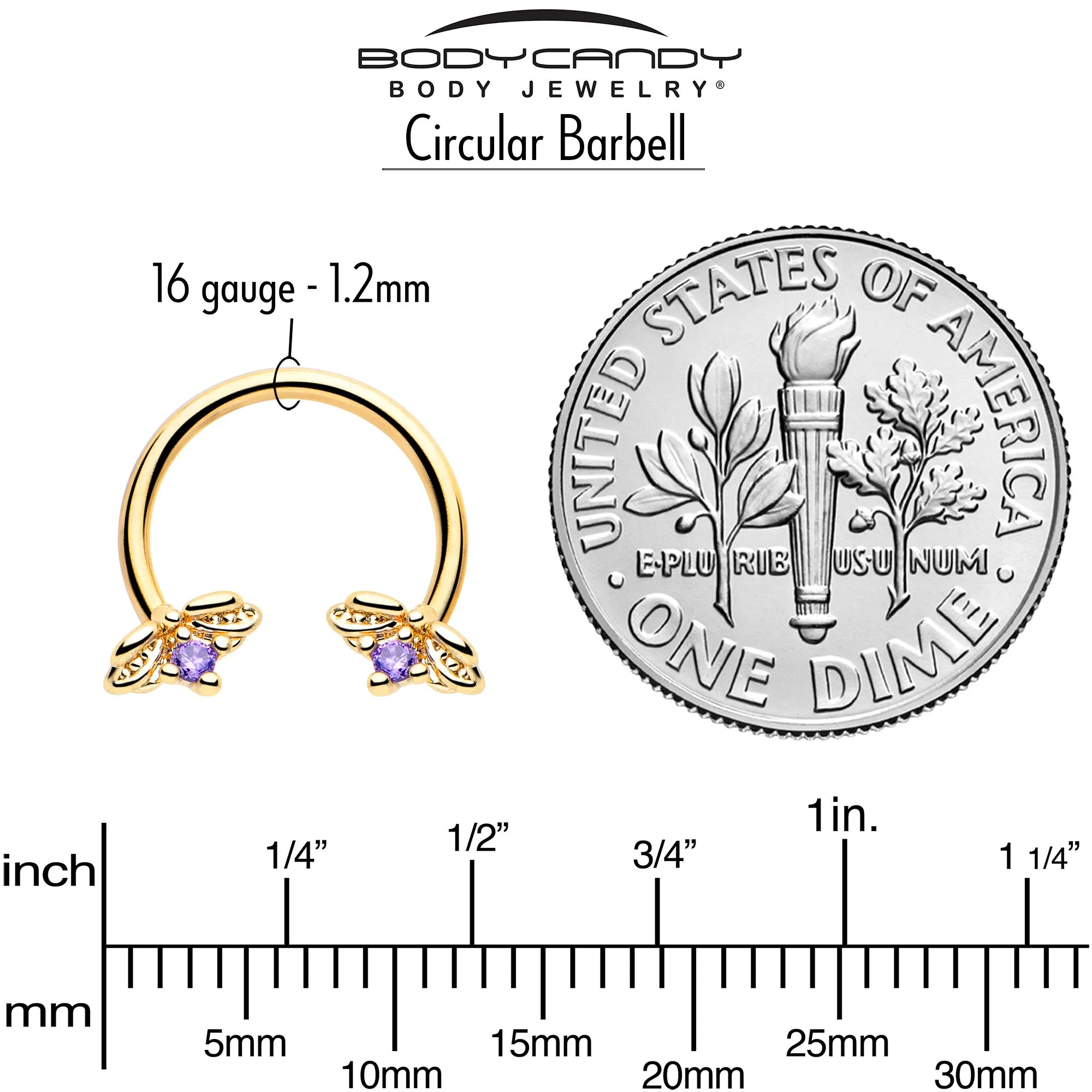 16 Gauge 3/8 Purple Gem Gold Tone Beauty Bug Horseshoe Circular Barbell