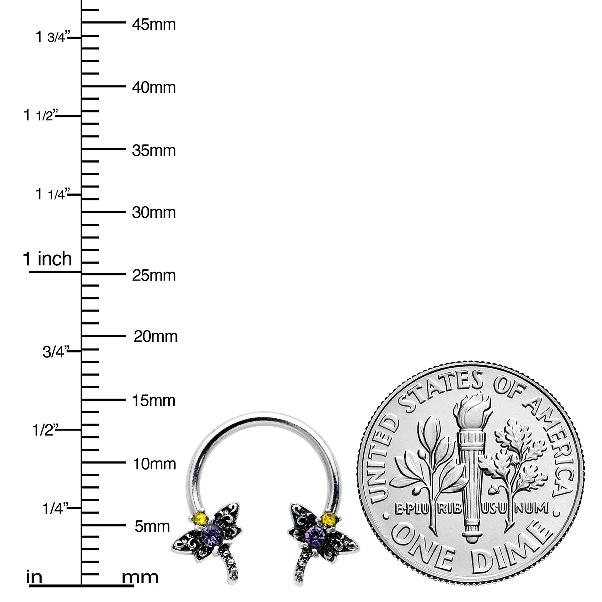 16 Gauge 3/8 Purple Yellow Gem Dragonfly Horseshoe Circular Barbell