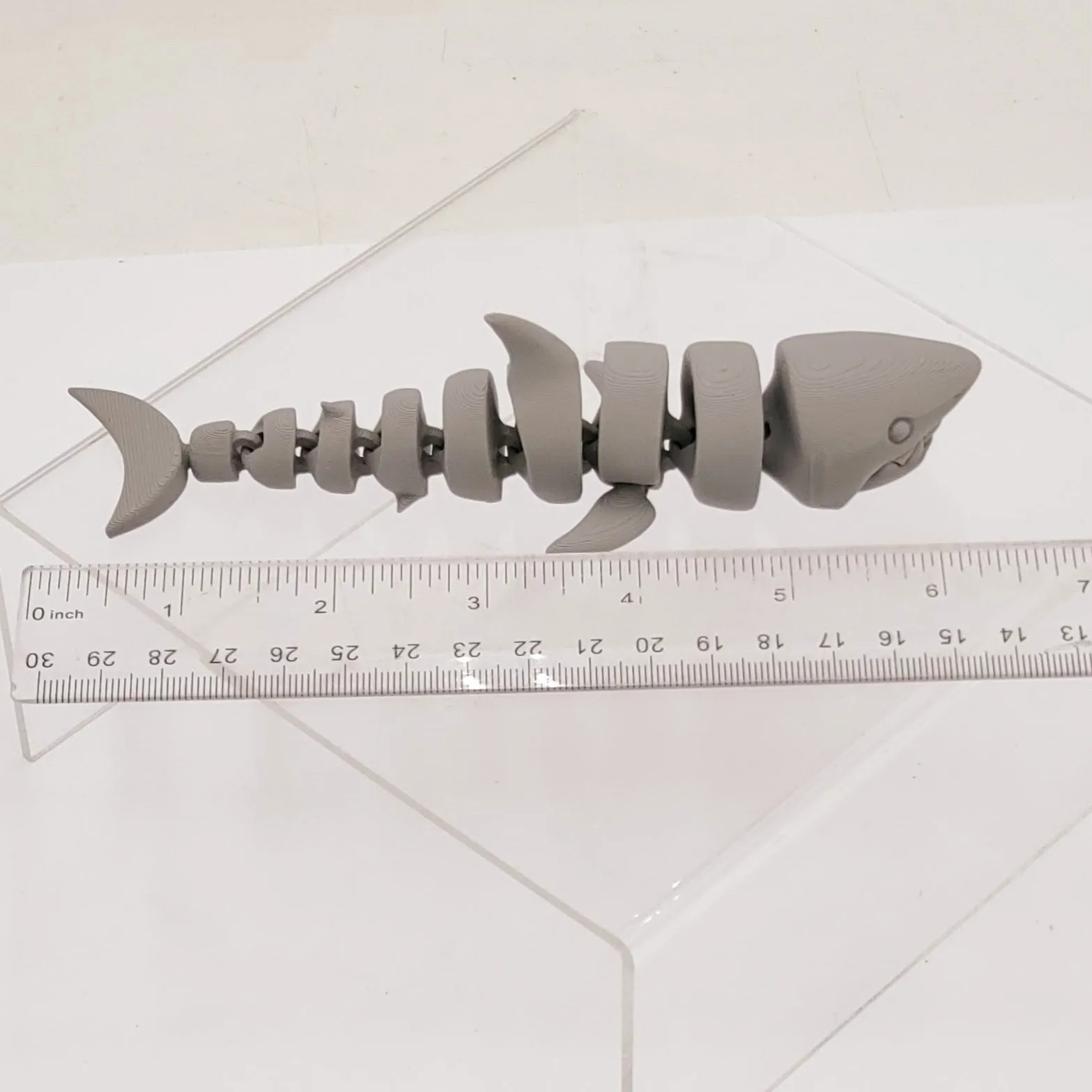 3D Printed Shark