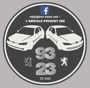 AMICALE 306 PARE-BRISE AZ037