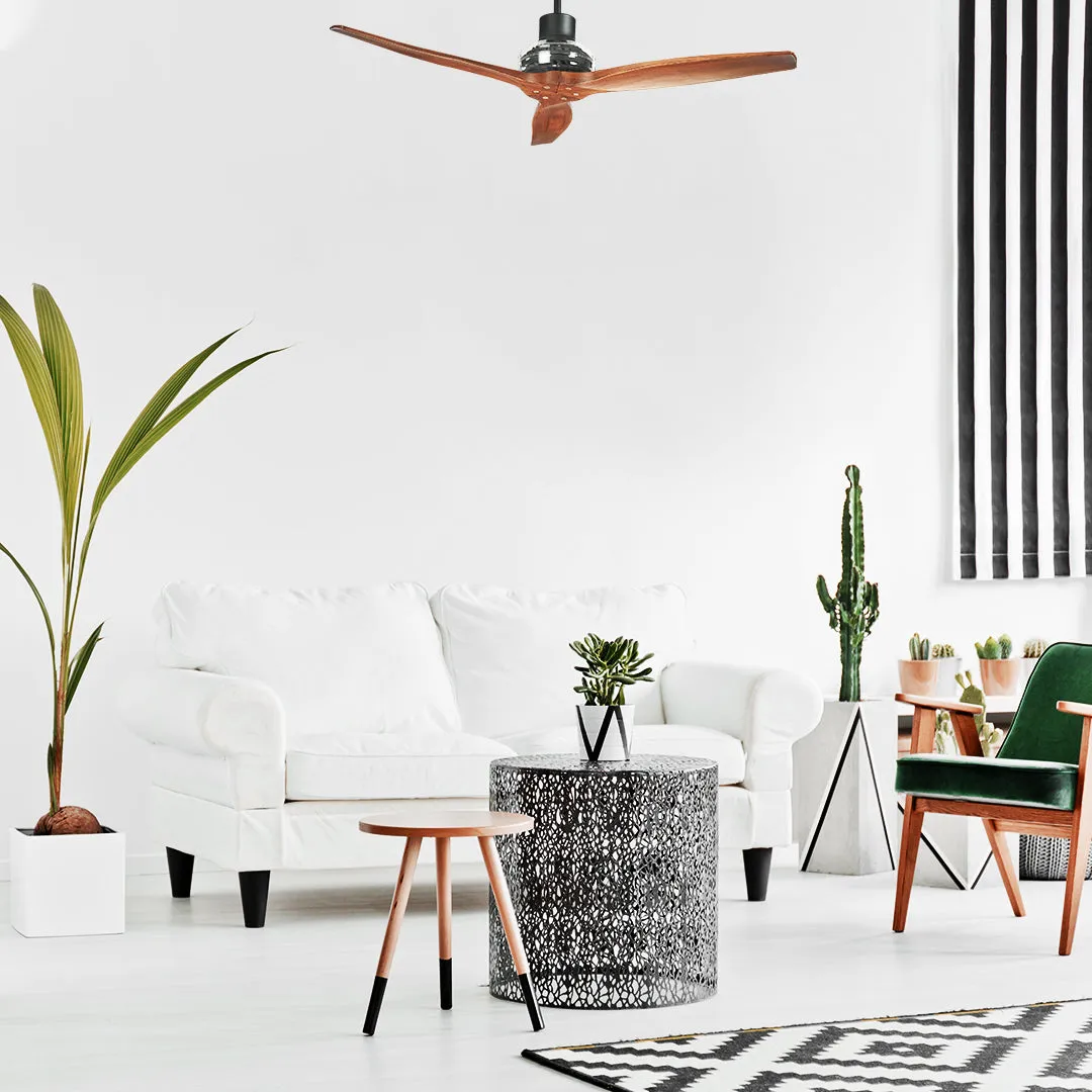 Black Star Propeller Indoor Outdoor Ceiling Fan