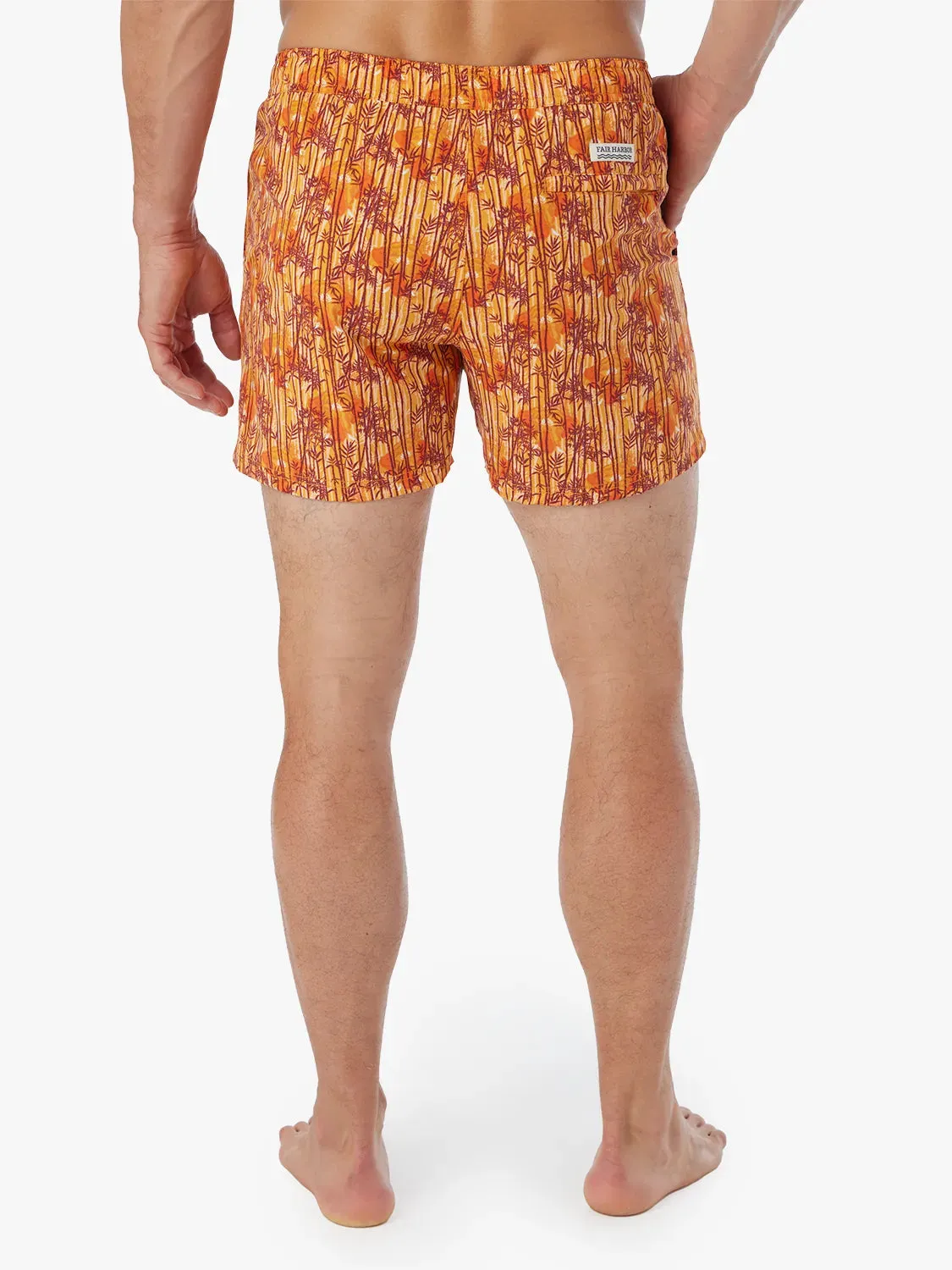 Bungalow Trunk | Sunny Bamboo