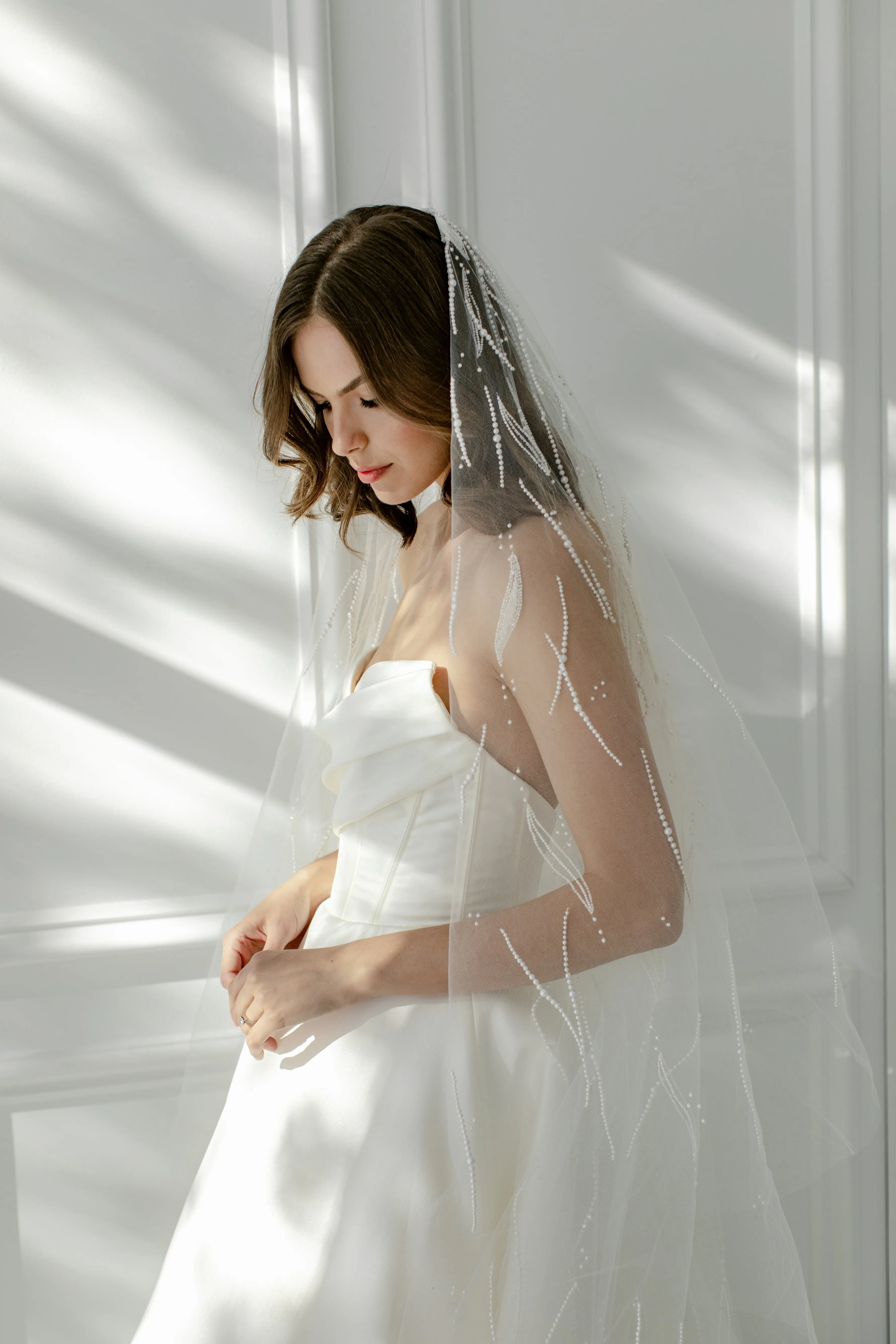 BV12027 (wholesale)
