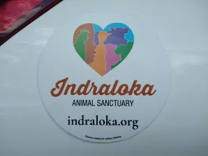 Car Magnet