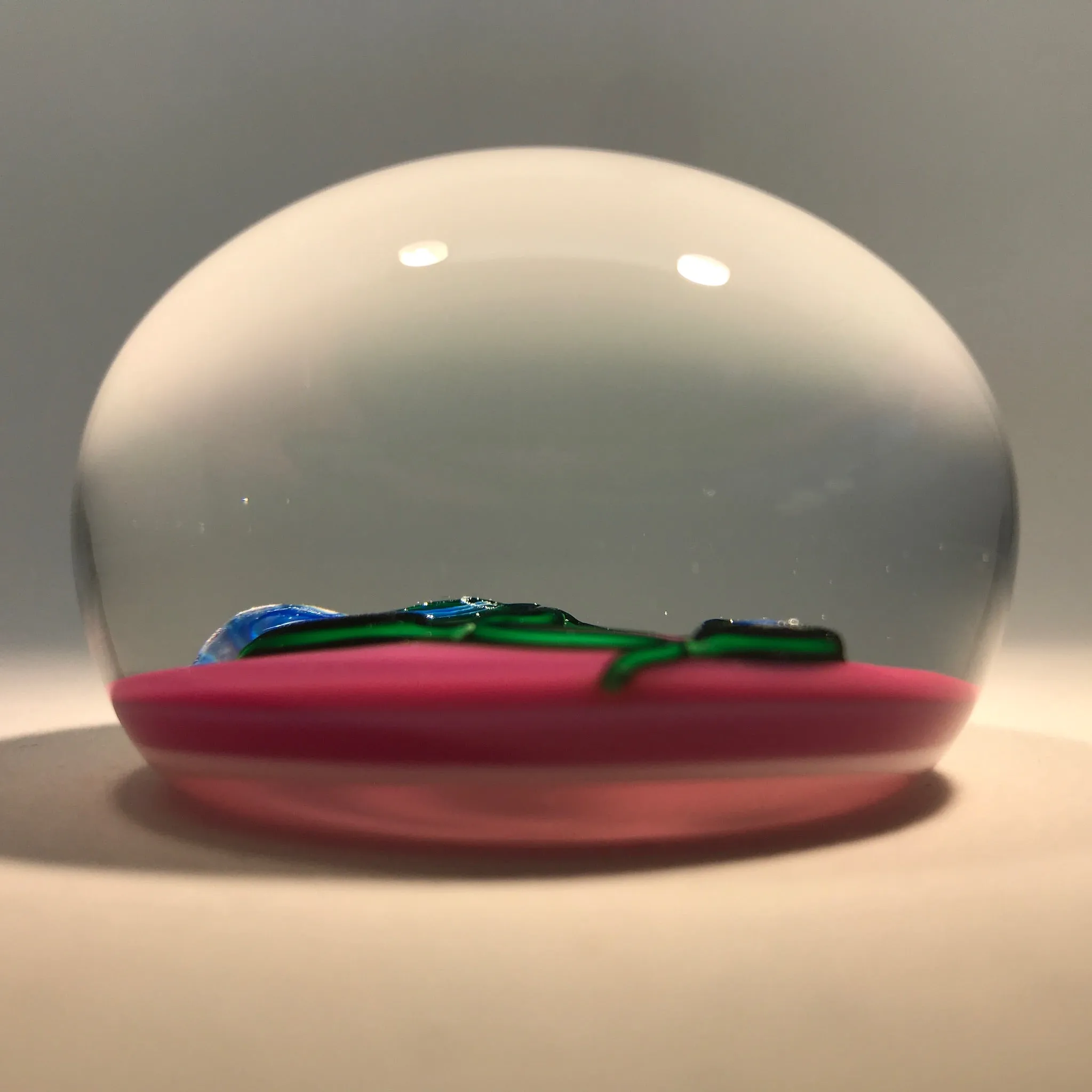Charles Kaziun Jr. Art Glass Paperweight Lampwork Morning Glories on Pink Ground