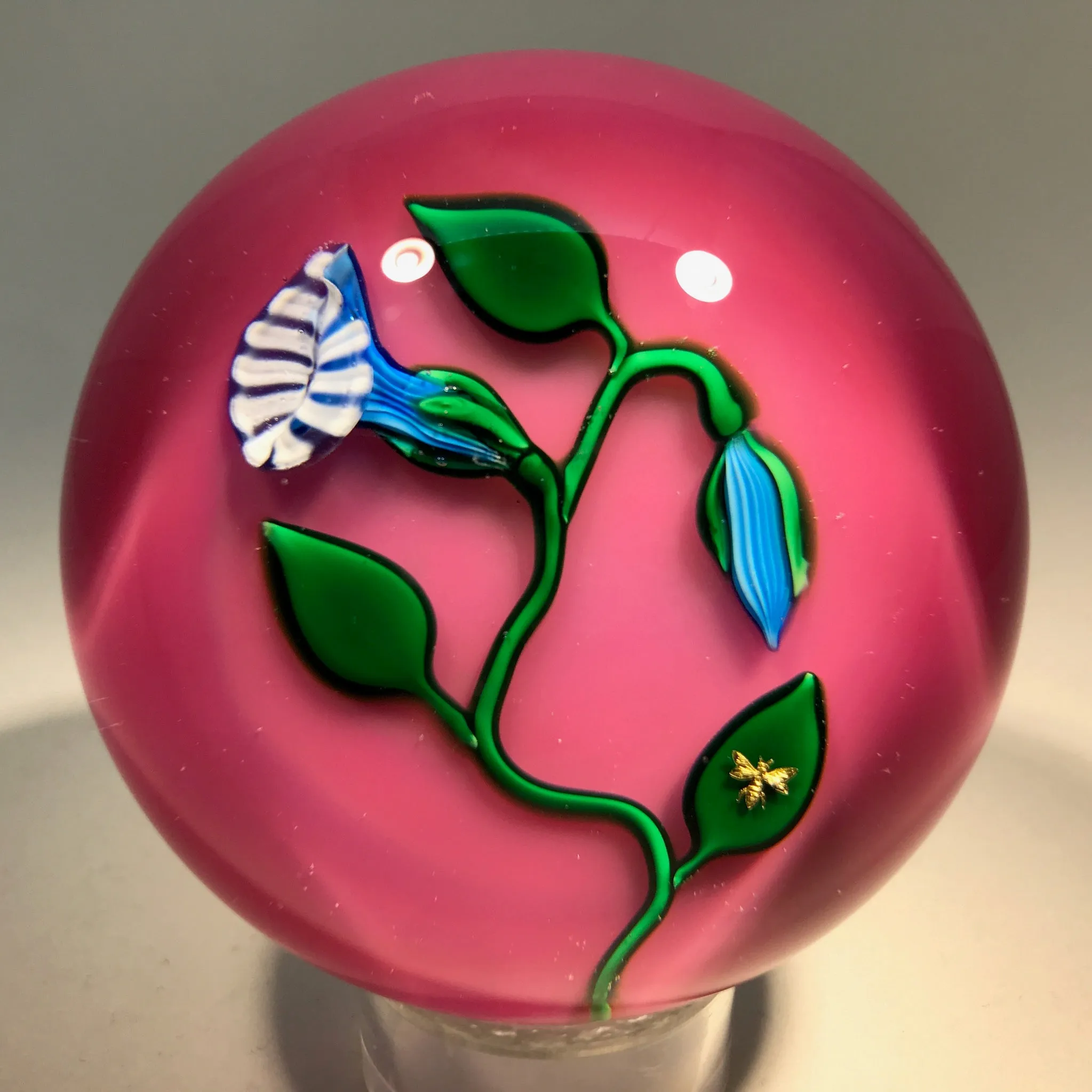 Charles Kaziun Jr. Art Glass Paperweight Lampwork Morning Glories on Pink Ground
