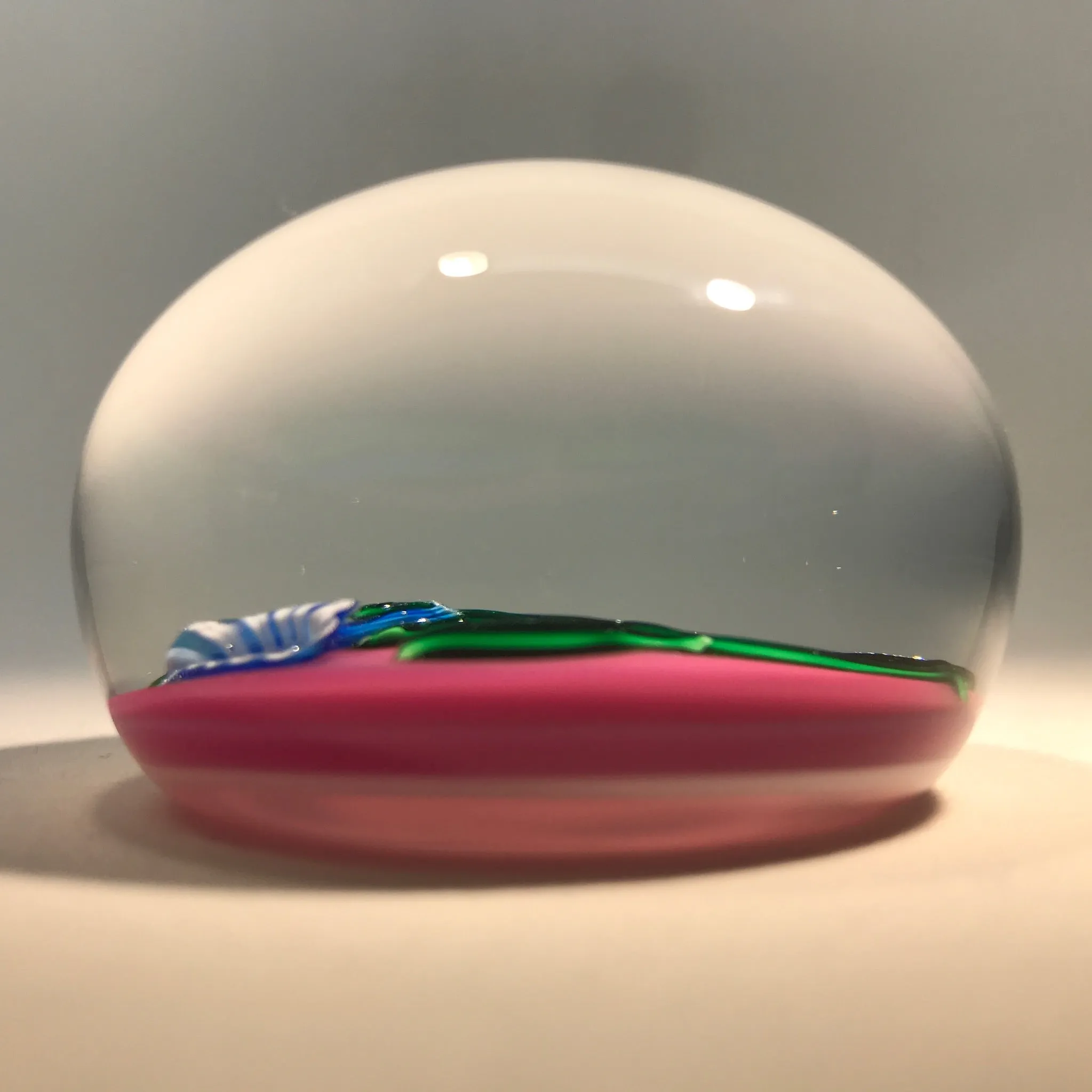 Charles Kaziun Jr. Art Glass Paperweight Lampwork Morning Glories on Pink Ground