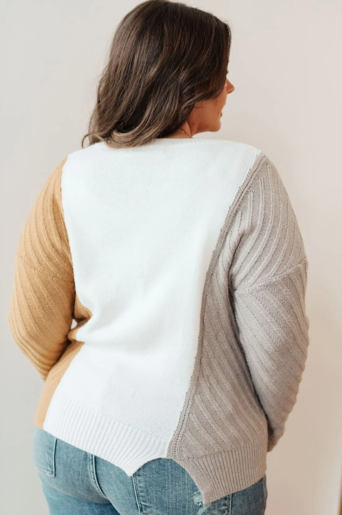 Color Block Sweater in Neutrals
