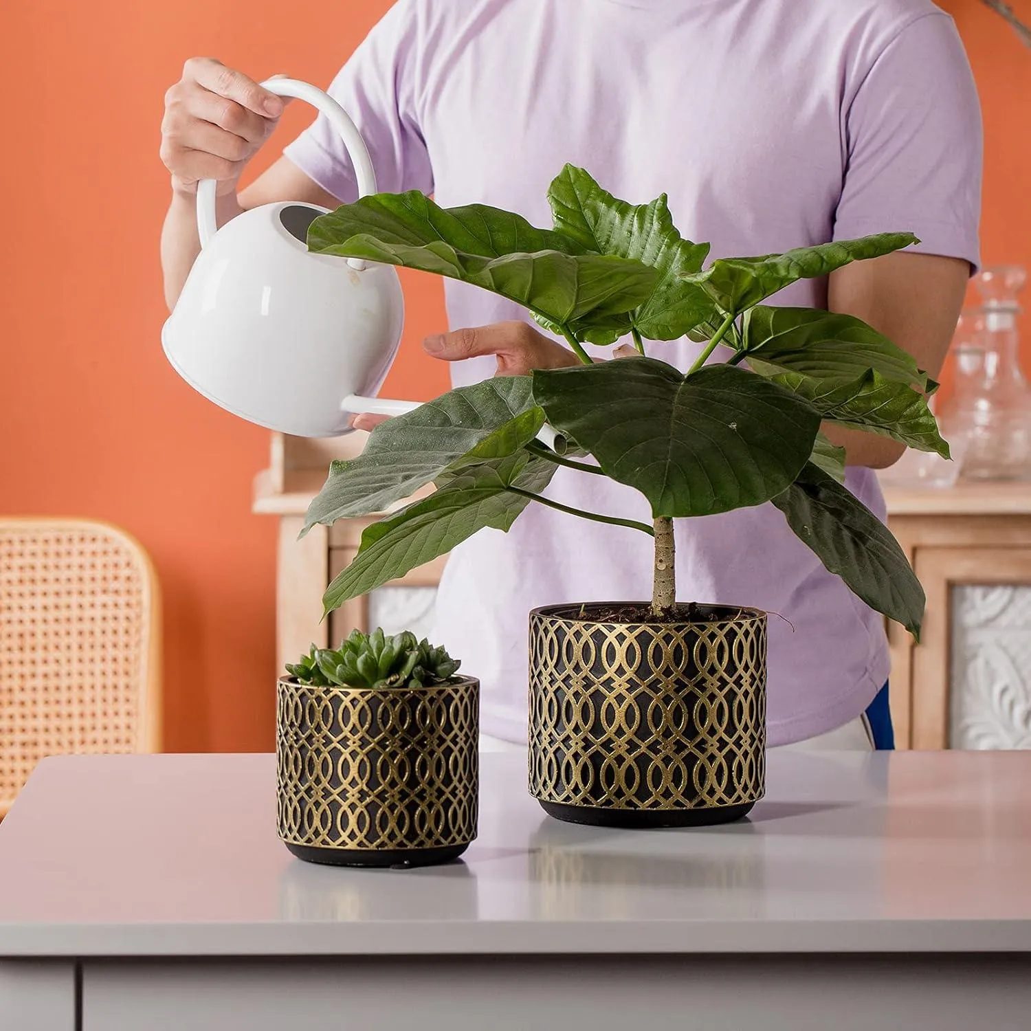 Elegant Décor Plant Pot
