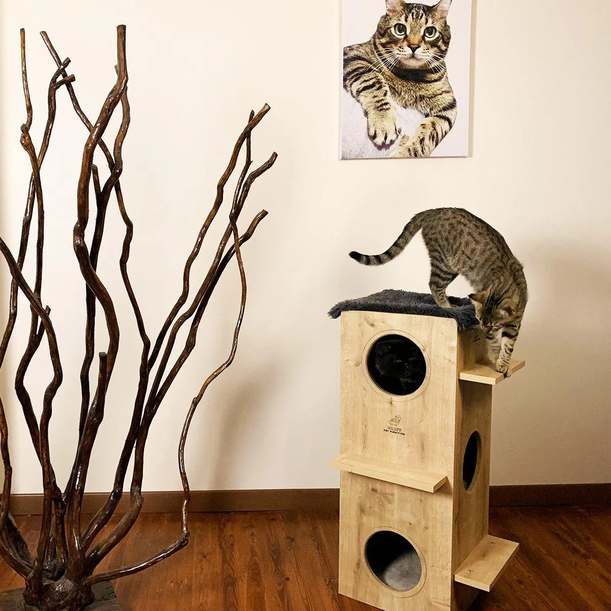 Elegant Dexter Modern Cat Tower
