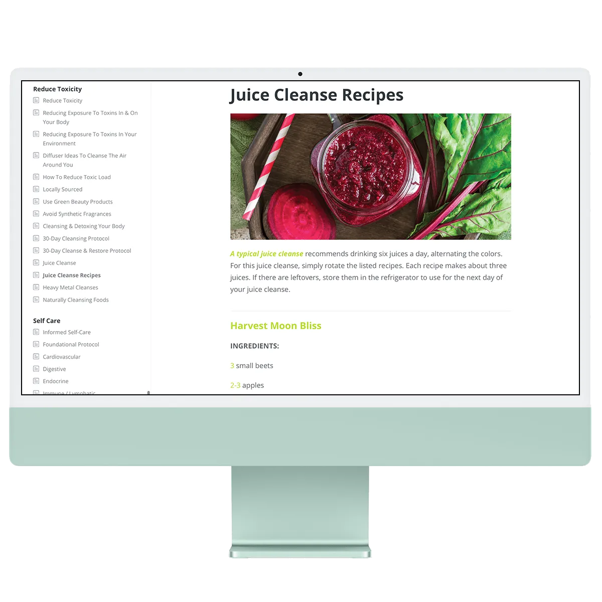 Essential Oils Made Simple Book 3rd Edition [Virtual Book]