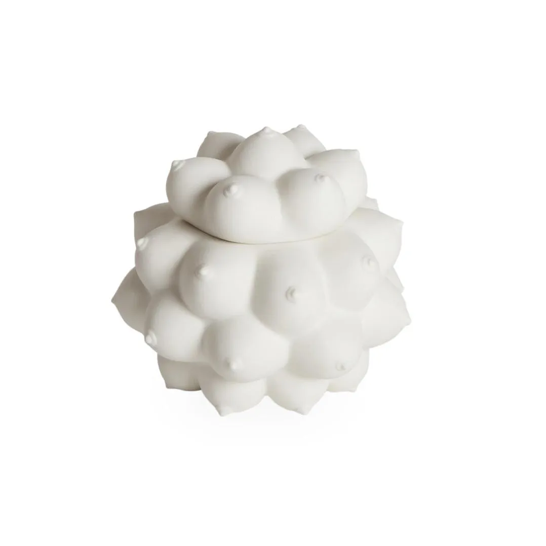 Georgia Orb Box