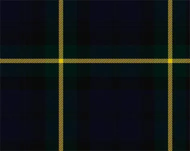 Gordon Modern Tartan Tam