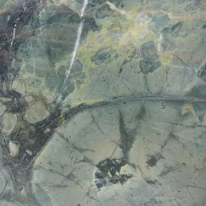 GREEN PEACE Quartzite Polished Slab