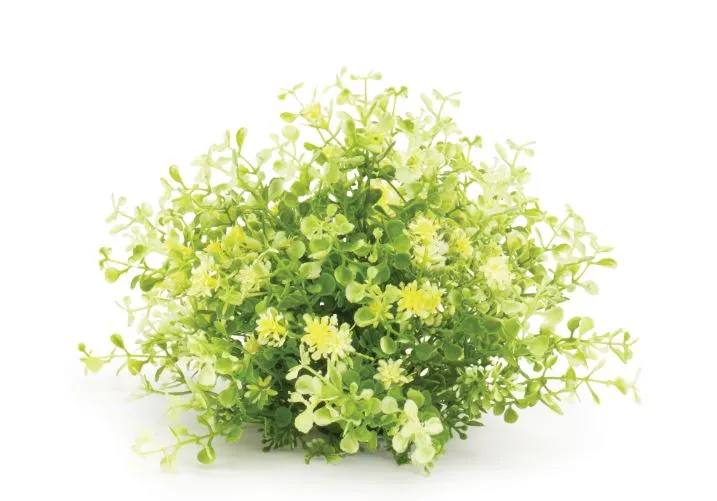 Greenery Half Orb
