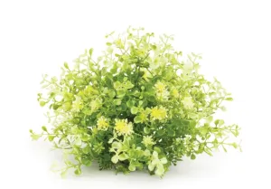 Greenery Half Orb