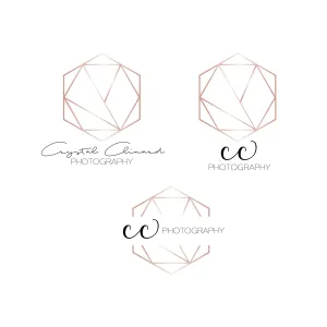 Hexagon Rose Gold Logo - Initials Logo - Simple Logo - Small Business logo - Personal Logo - Shop Logo - Photographer Logo - Logo Design
