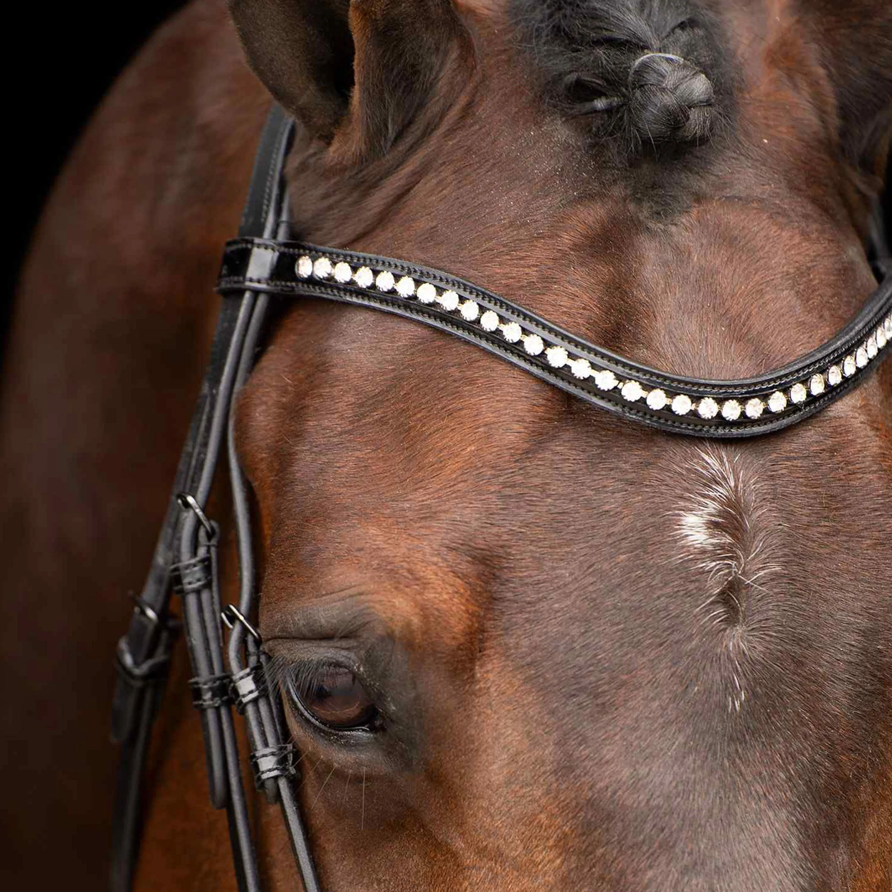 Imperial Riding Bridle Athena, elegant träns med strass
