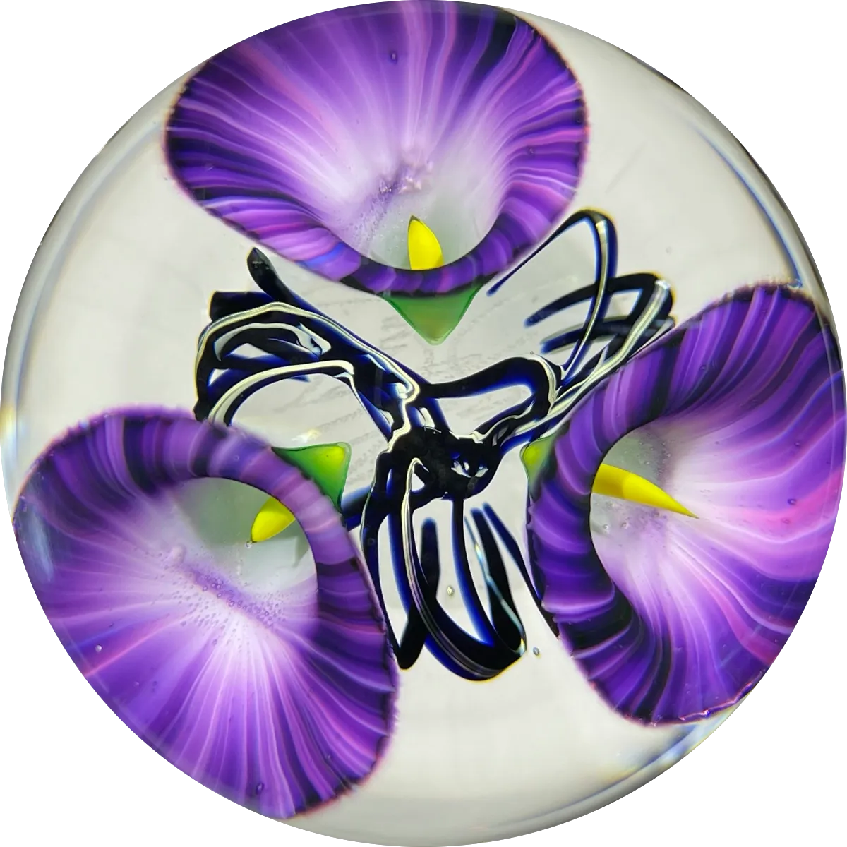 Jeremiah Lotton 2004 Torchwork Purple Calla Lily Trumpet Flowers Glass Paperweight