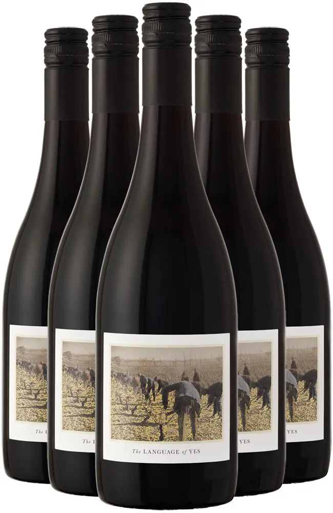 Language of Yes Grenache Santa Maria Valley 2020