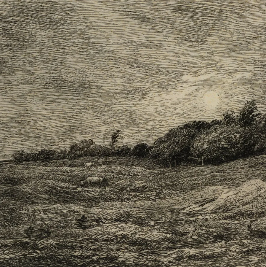 Le Pré des Graves à Villerville (Calvados)