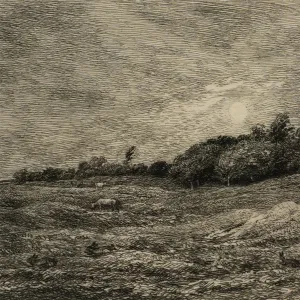 Le Pré des Graves à Villerville (Calvados)