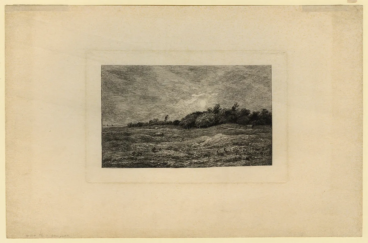 Le Pré des Graves à Villerville (Calvados)