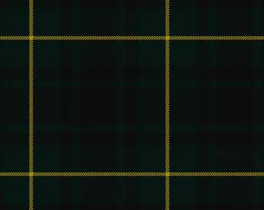 MacArthur Modern Tartan Suspenders