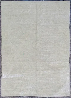 Modern Kilim 4'8" x 6'7"