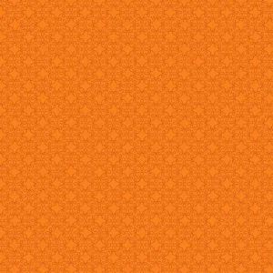 Modern Melody Orange