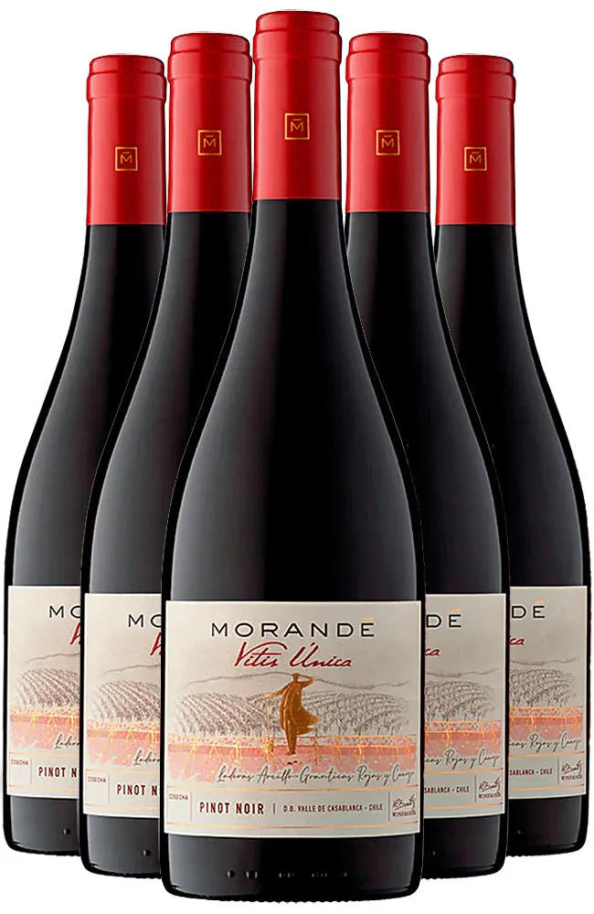 Morandé Vitis Única Pinot Noir 2023