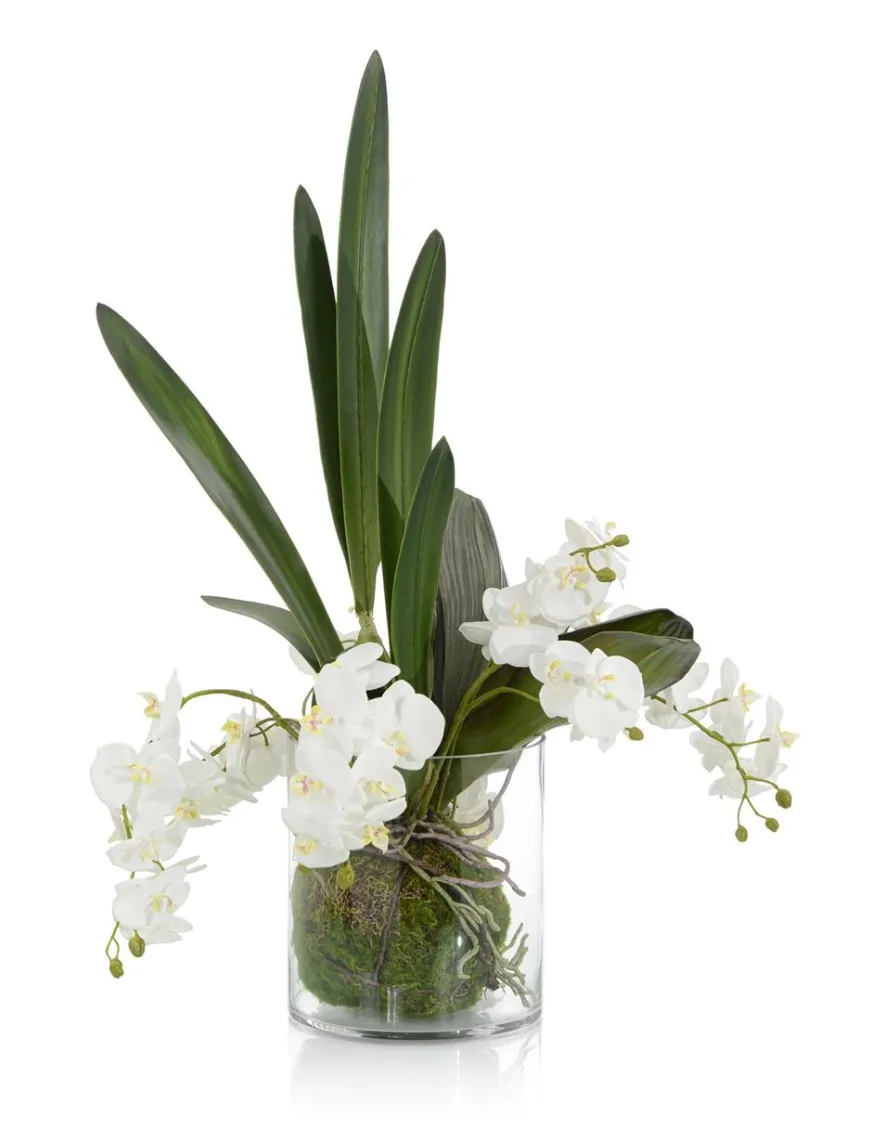 MOSSY ORCHIDS