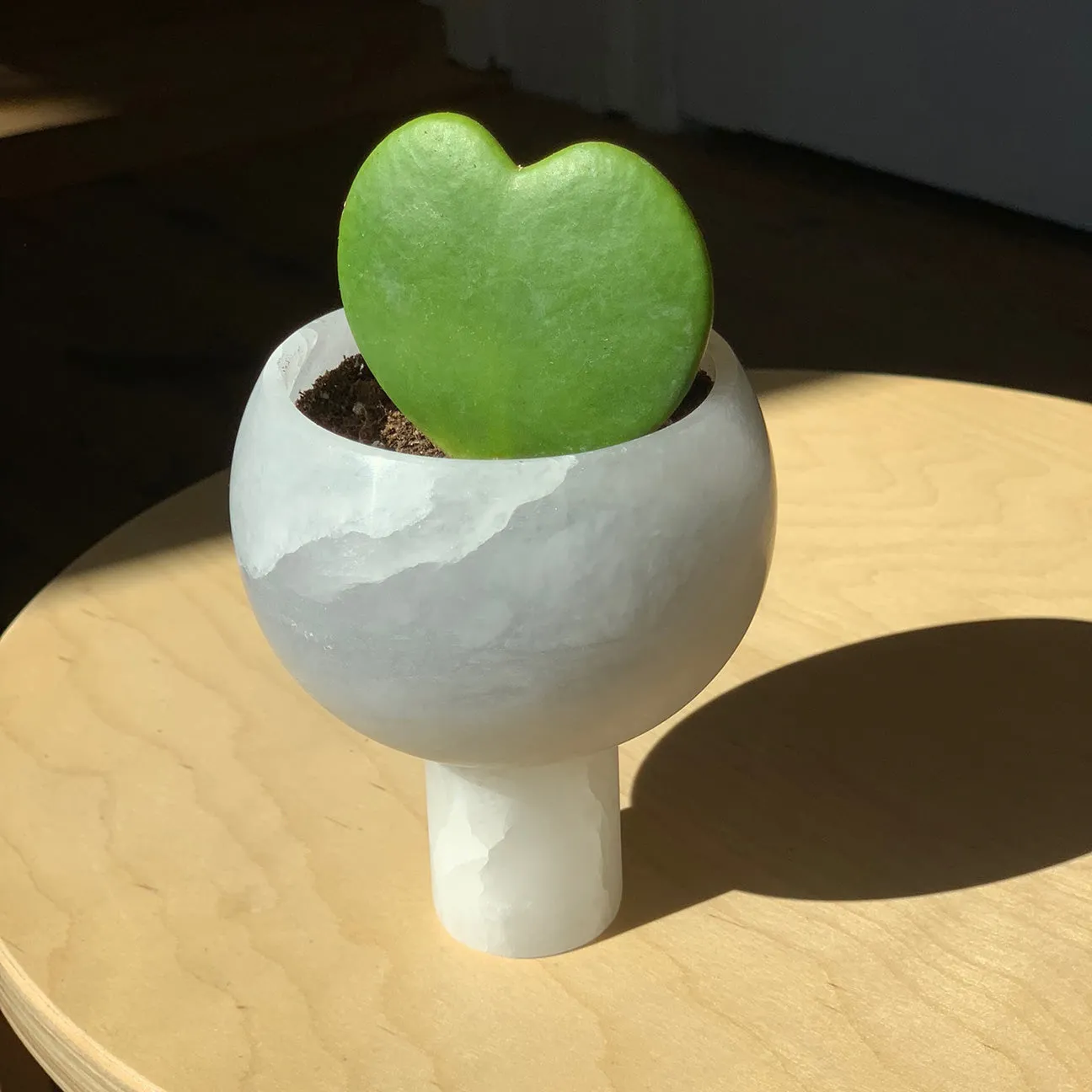 Orb Planter Small - Alabaster