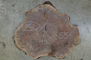 Oregon Black Walnut Burl Round 020925-23