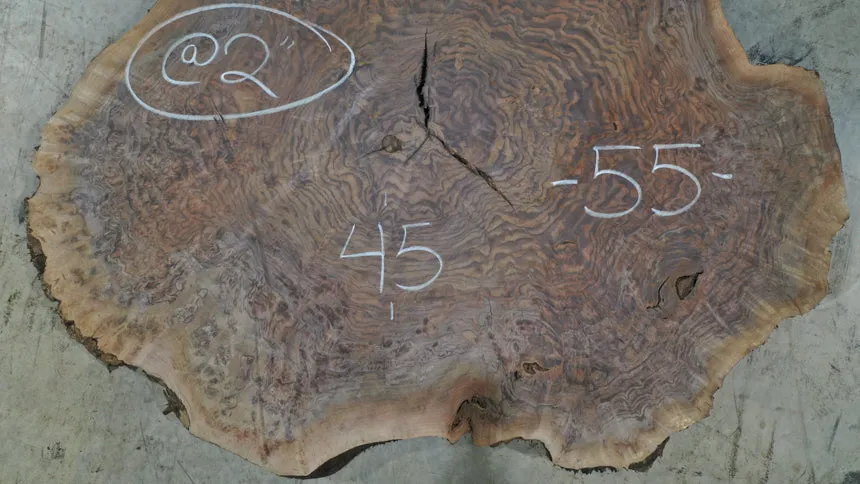 Oregon Black Walnut Burl Round 020925-23