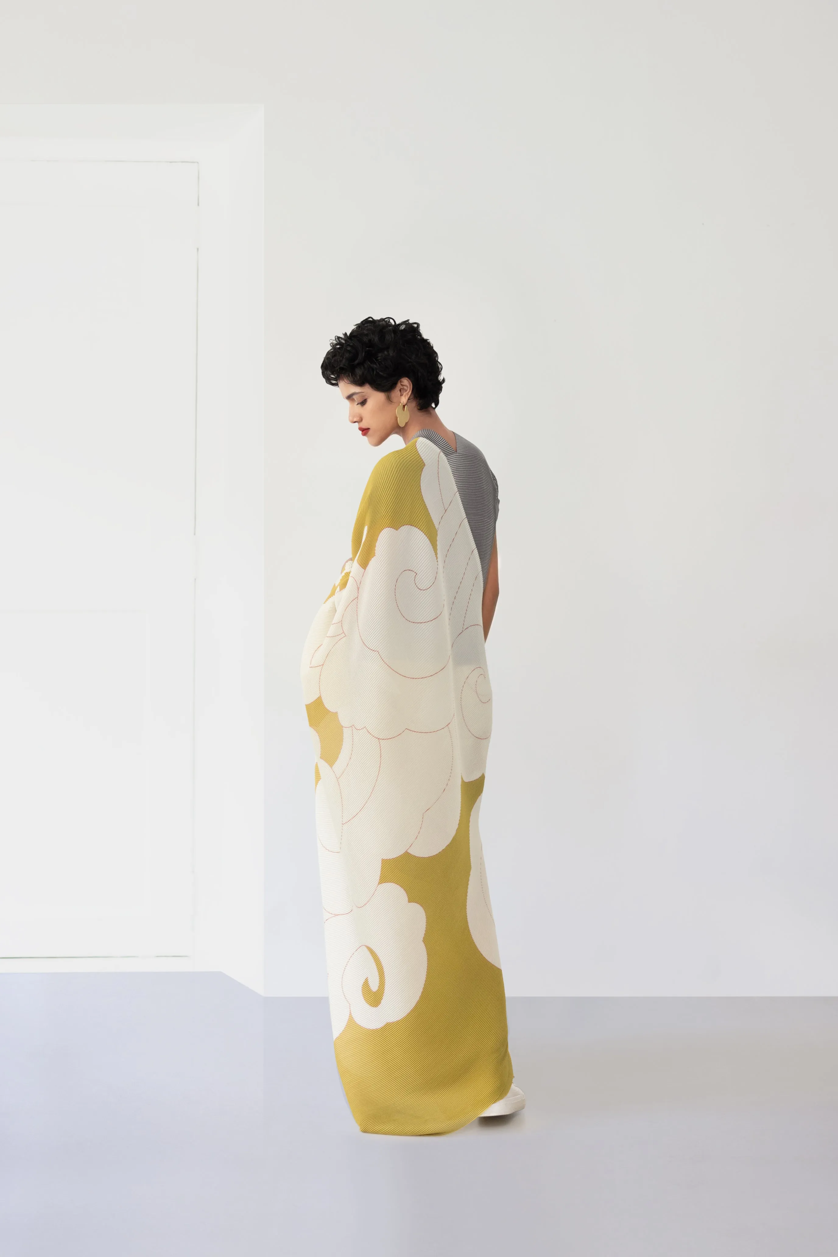 Pleated Sari