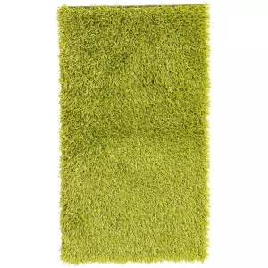 Shaggy Rectangular Area Rug in Lime Green