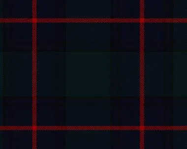 Shaw Modern Tartan Tam