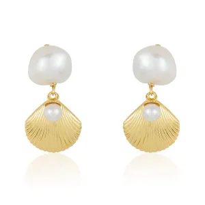 Shells of Aphrodite's