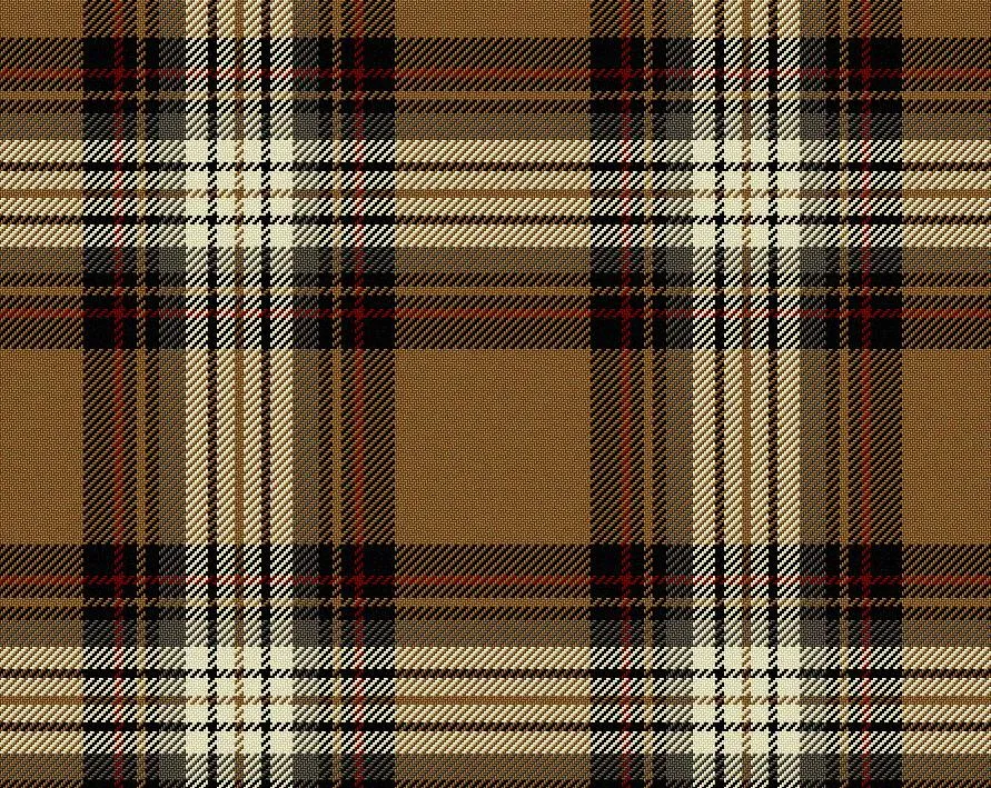 Stewart Camel Modern Tartan Sash