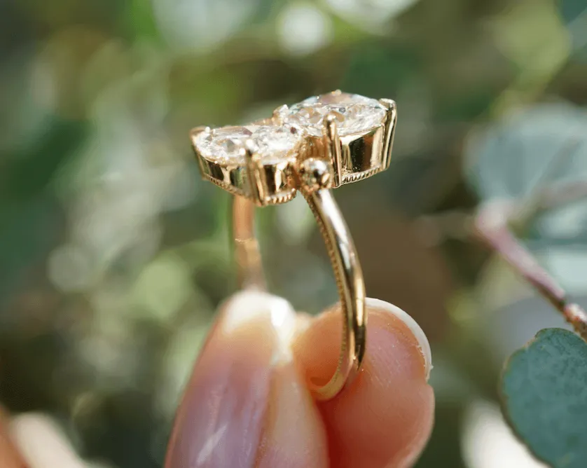 The Coco | Proposals