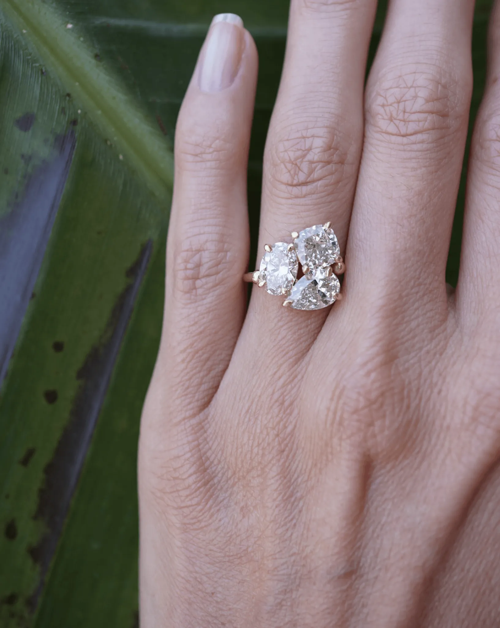 The Coco | Proposals