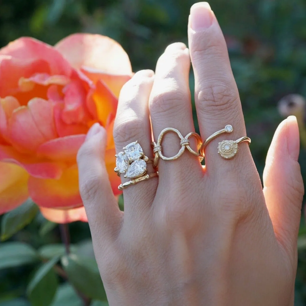 The Coco | Proposals