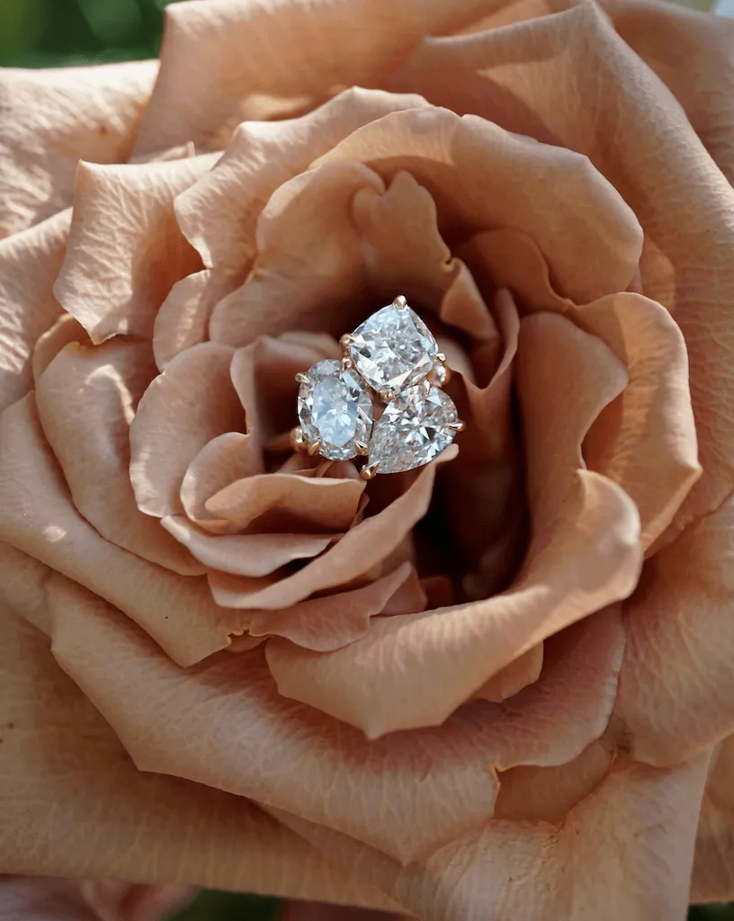 The Coco | Proposals