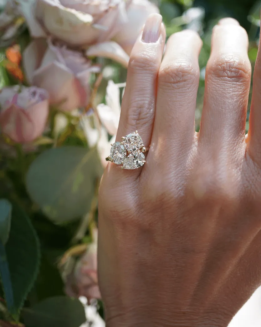 The Coco | Proposals