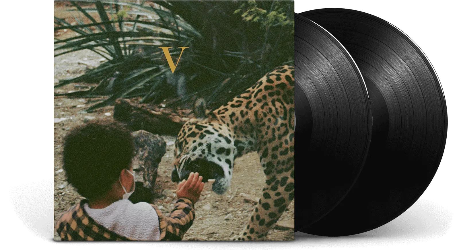 Unknown Mortal Orchestra : V