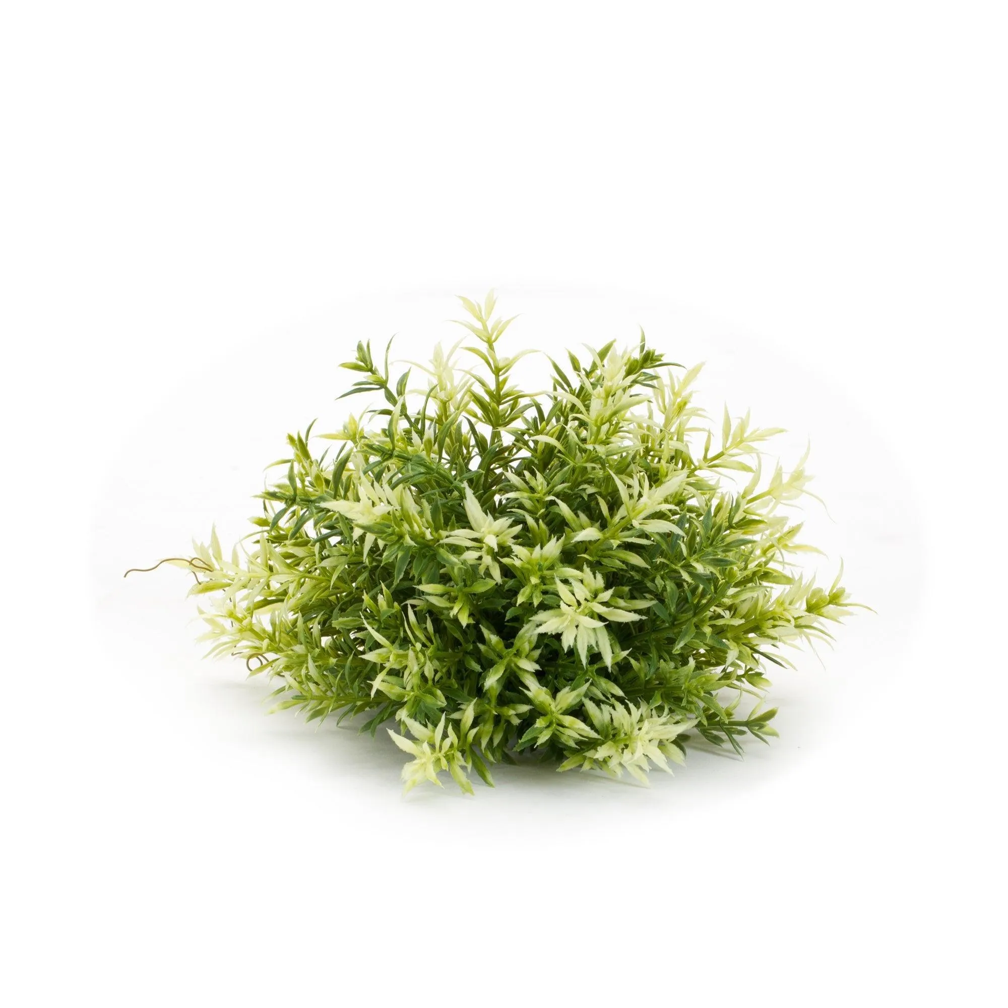 Varigated Mini Leaf Half Orb (Set of 6)