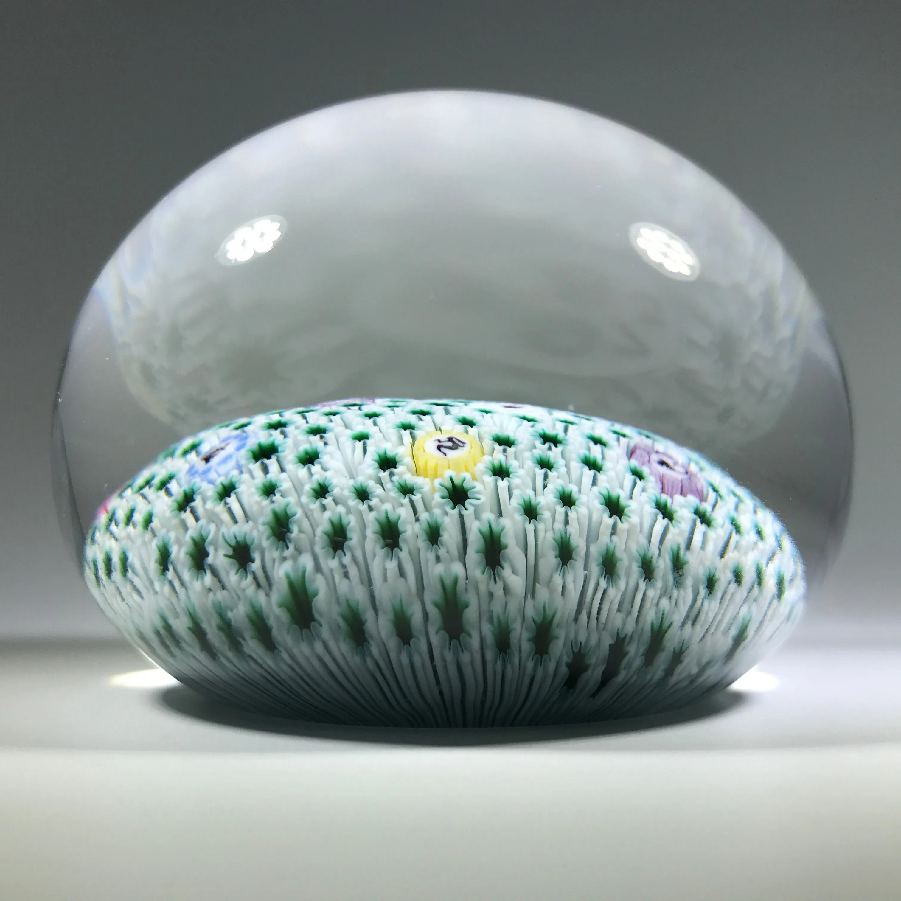 Vintage Baccarat Art Glass Paperweight Zodiac Cane Millefiori Carpet Ground
